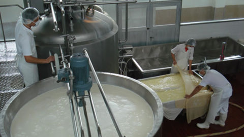 Tratamiento de efluentes en la industria láctea
