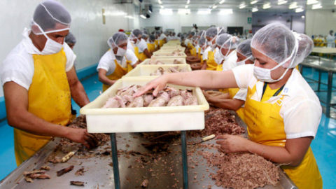Vertido cero en la industria del cocido de mariscos